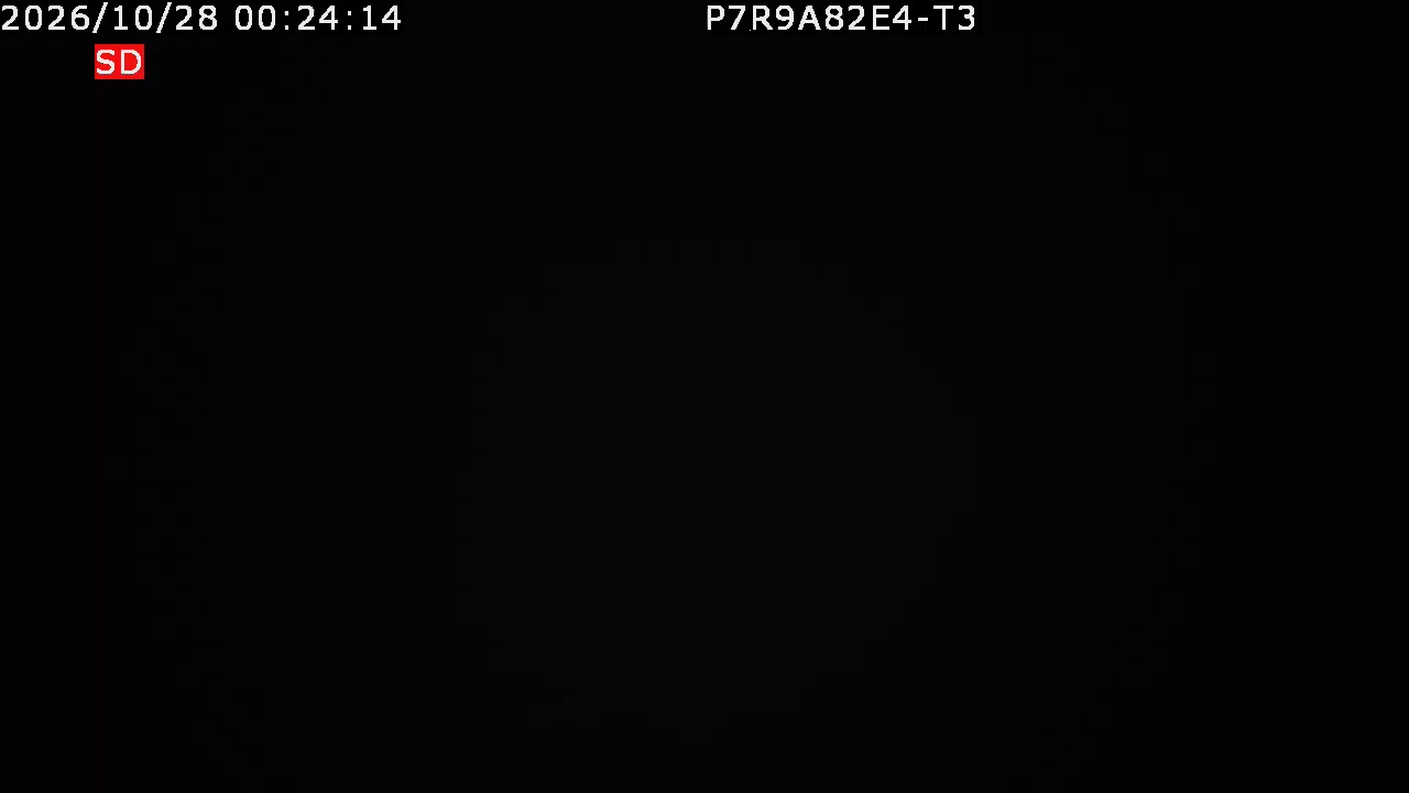 color-lilin_202610280024.mp4