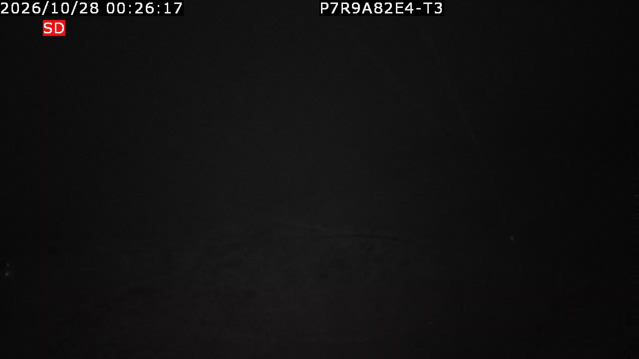 color-lilin_202610280026.mp4