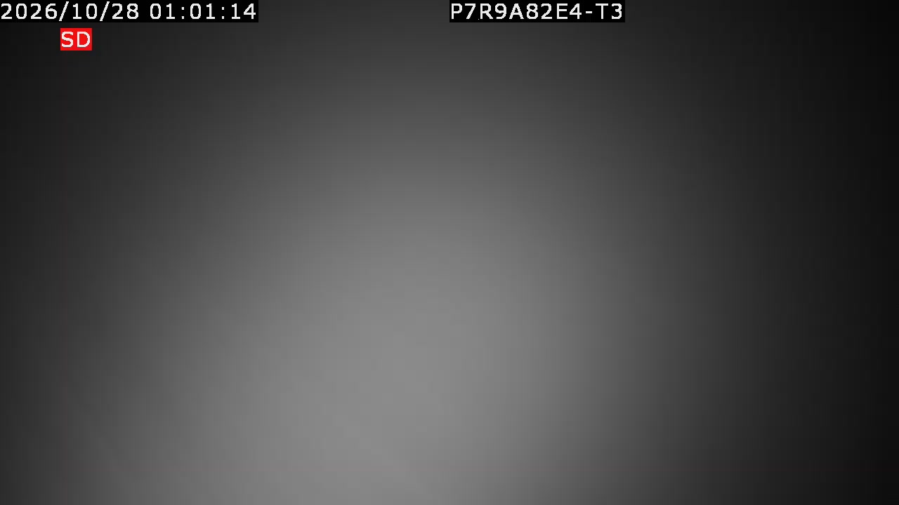 color-lilin_202610280101.mp4