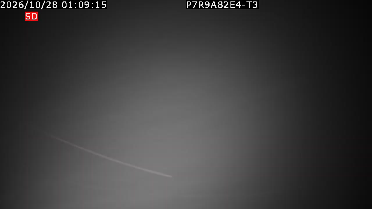 color-lilin_202610280109.mp4