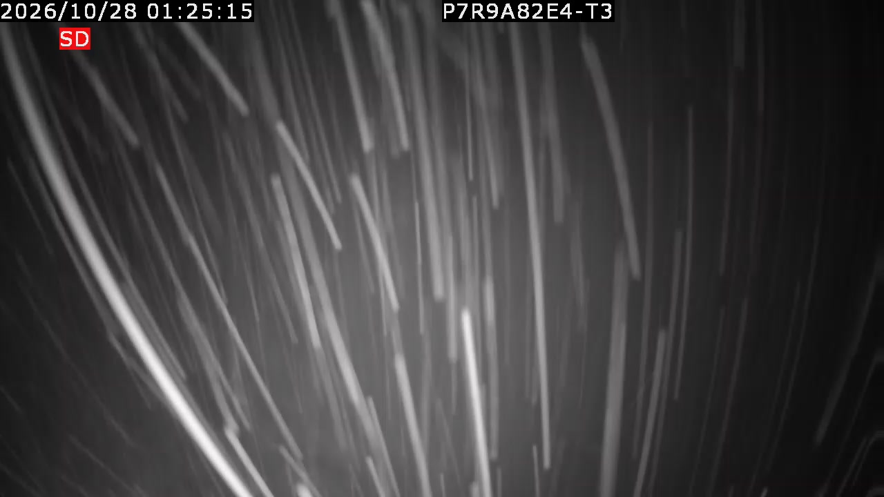 color-lilin_202610280125.mp4
