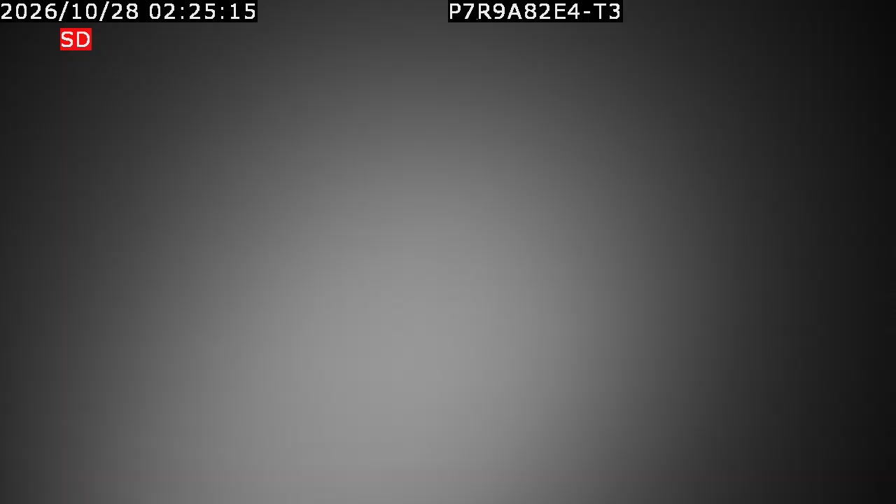 color-lilin_202610280225.mp4