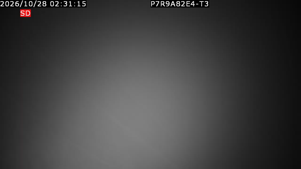 color-lilin_202610280231.mp4