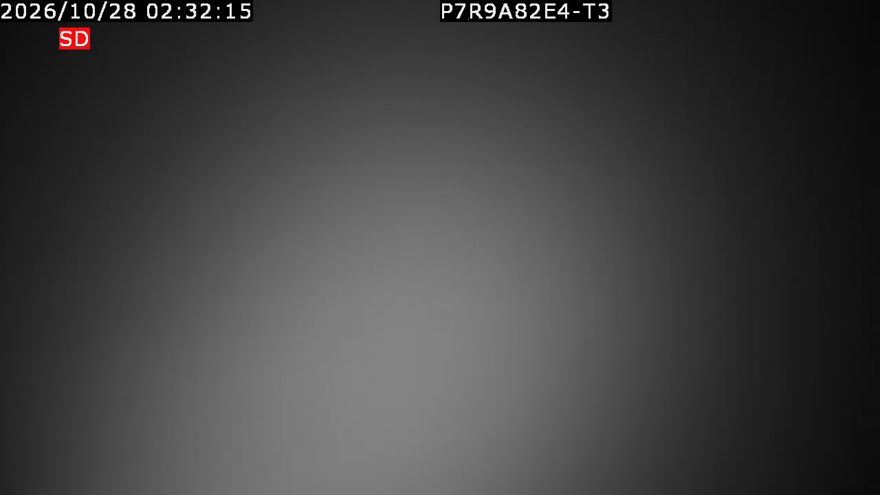 color-lilin_202610280232.mp4