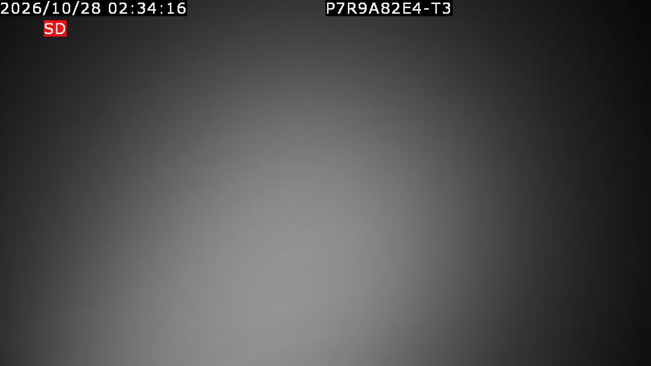 color-lilin_202610280234.mp4