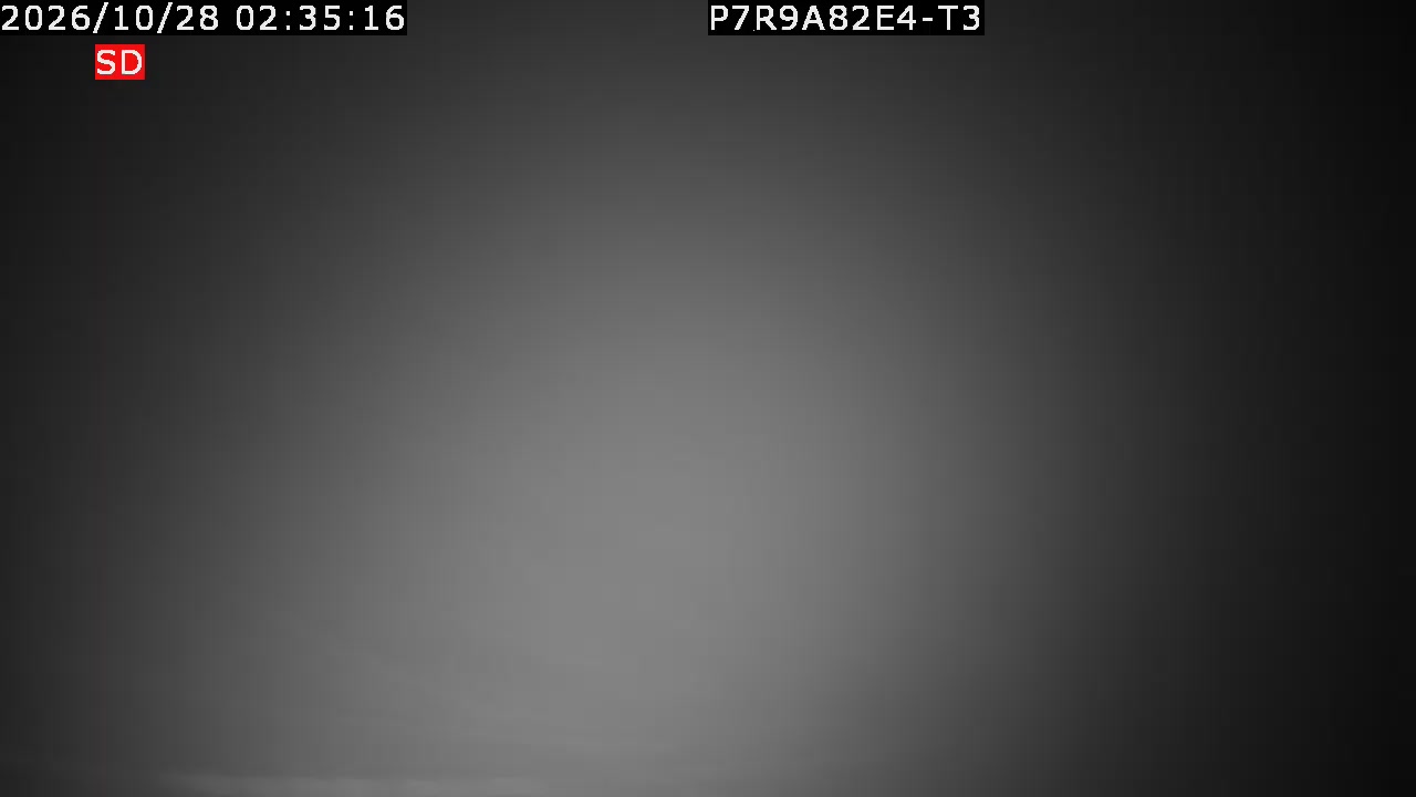 color-lilin_202610280235.mp4