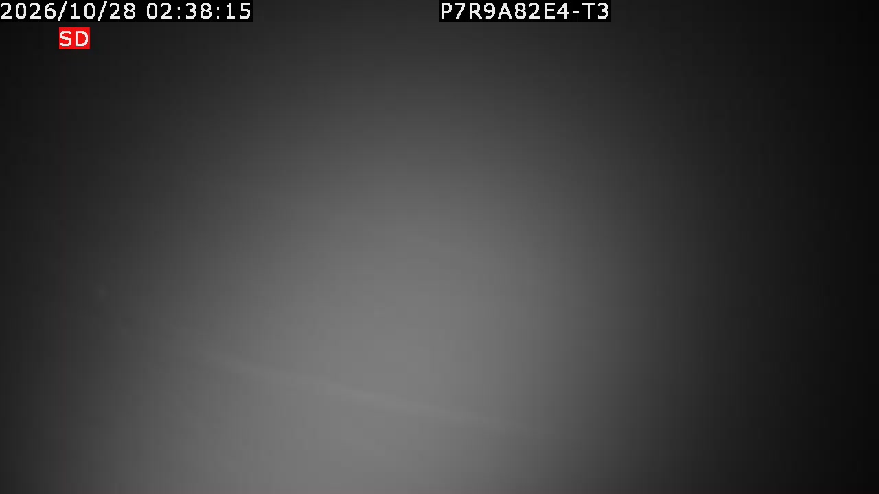 color-lilin_202610280238.mp4