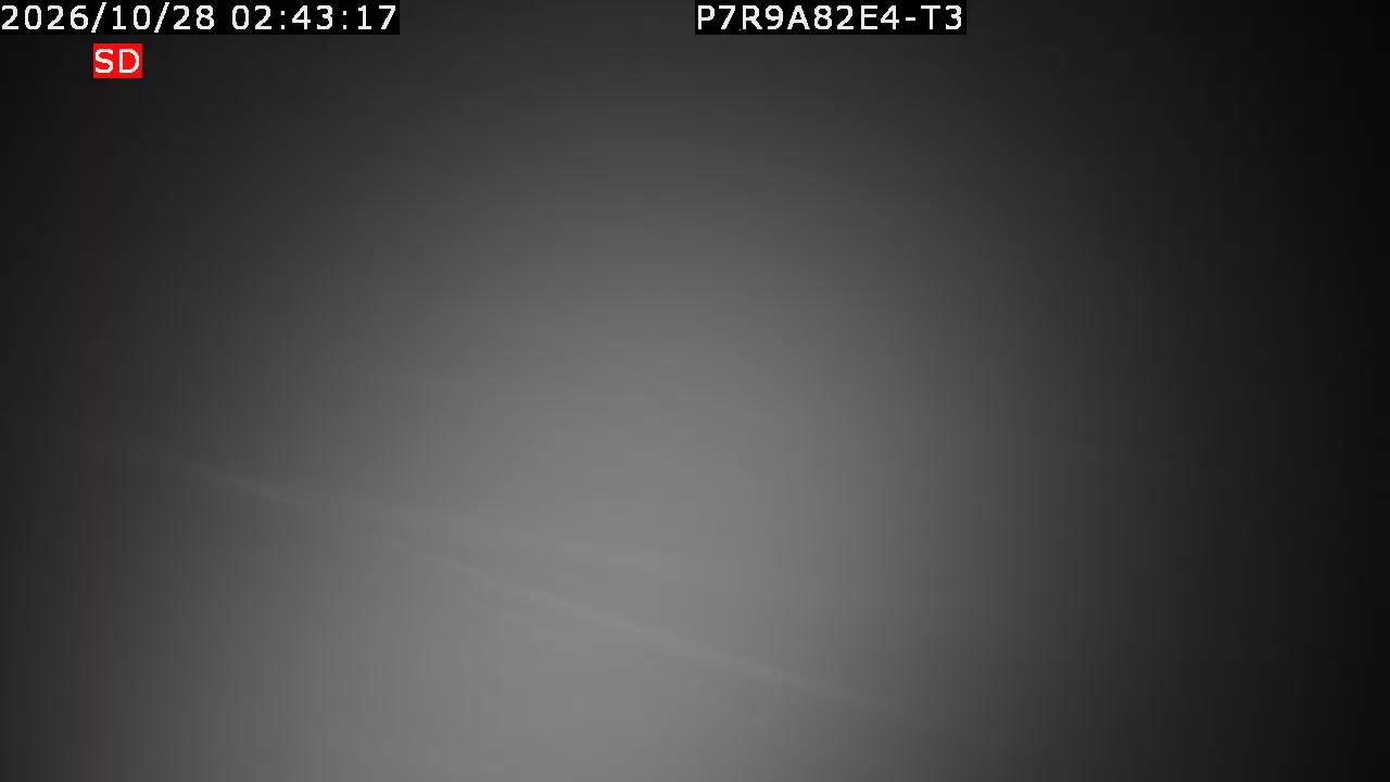 color-lilin_202610280243.mp4