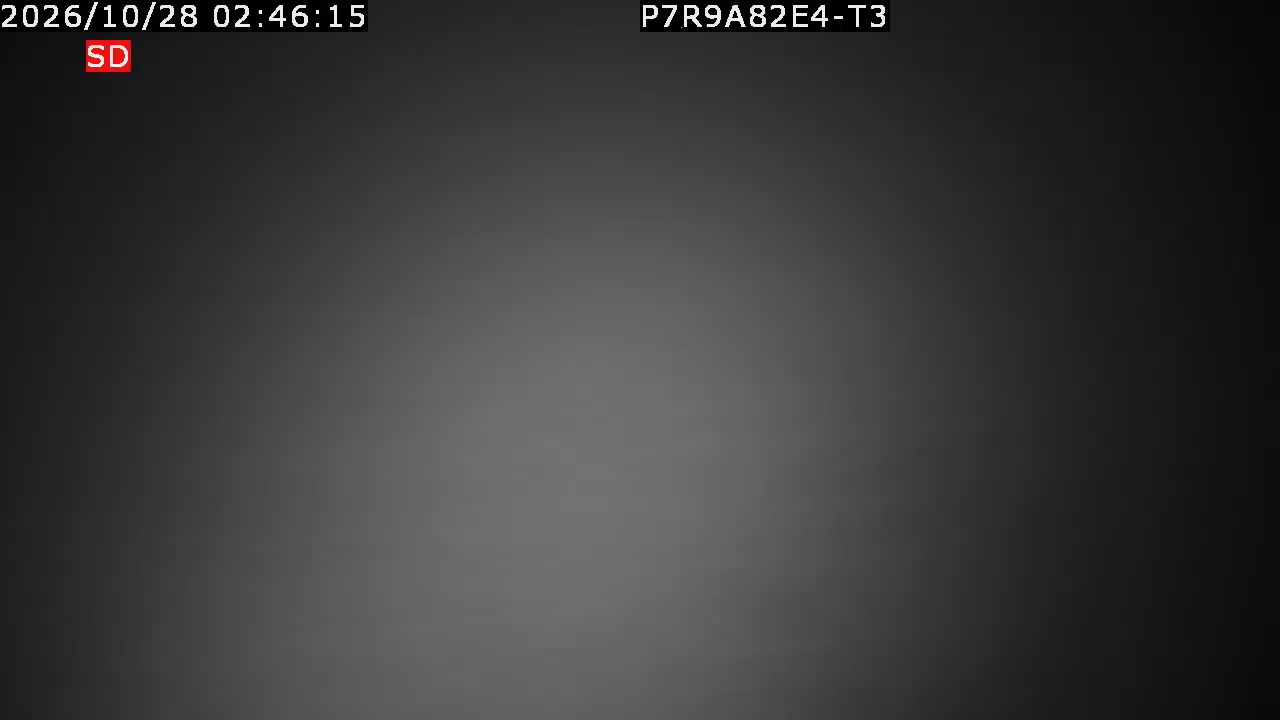 color-lilin_202610280246.mp4