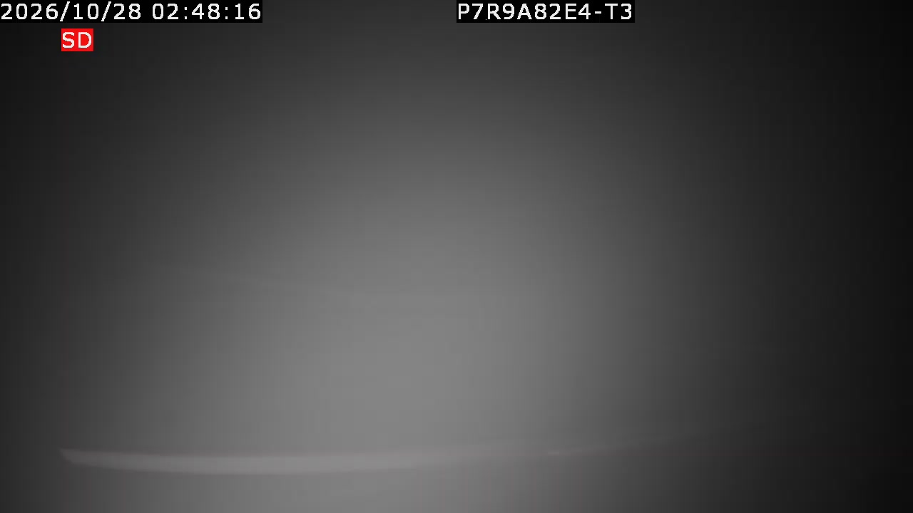 color-lilin_202610280248.mp4