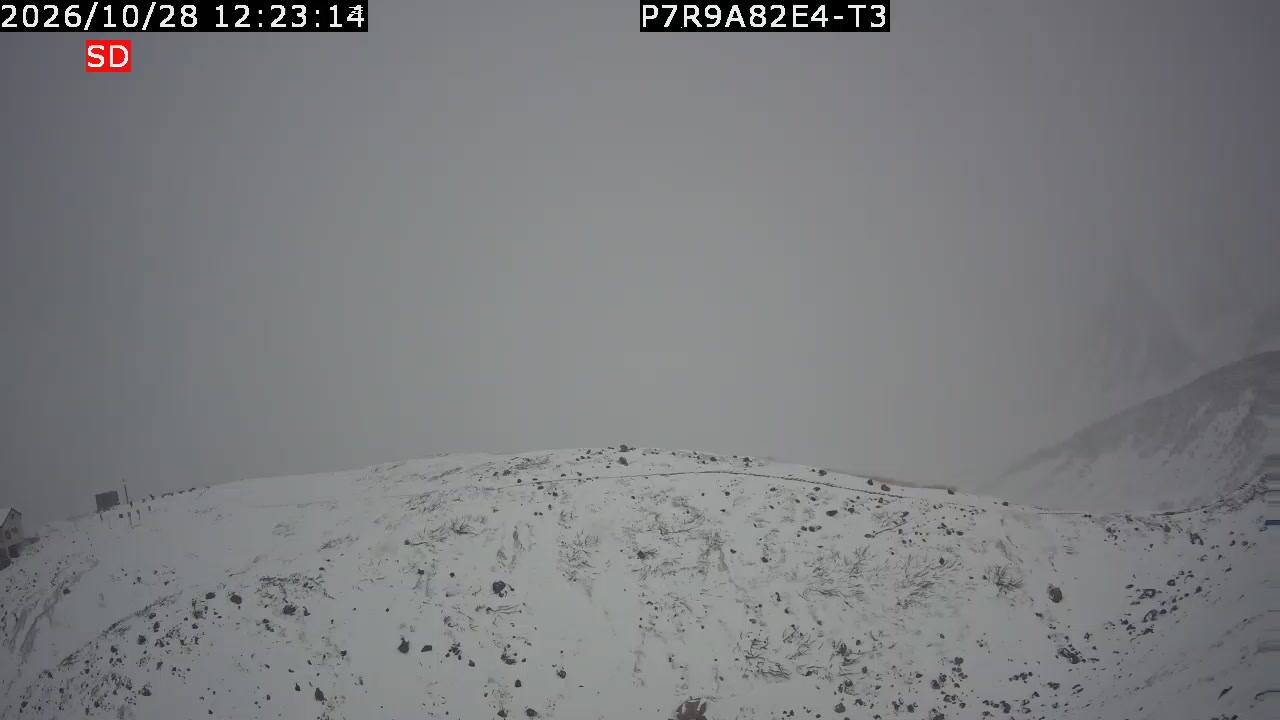 color-lilin_202610281223.mp4
