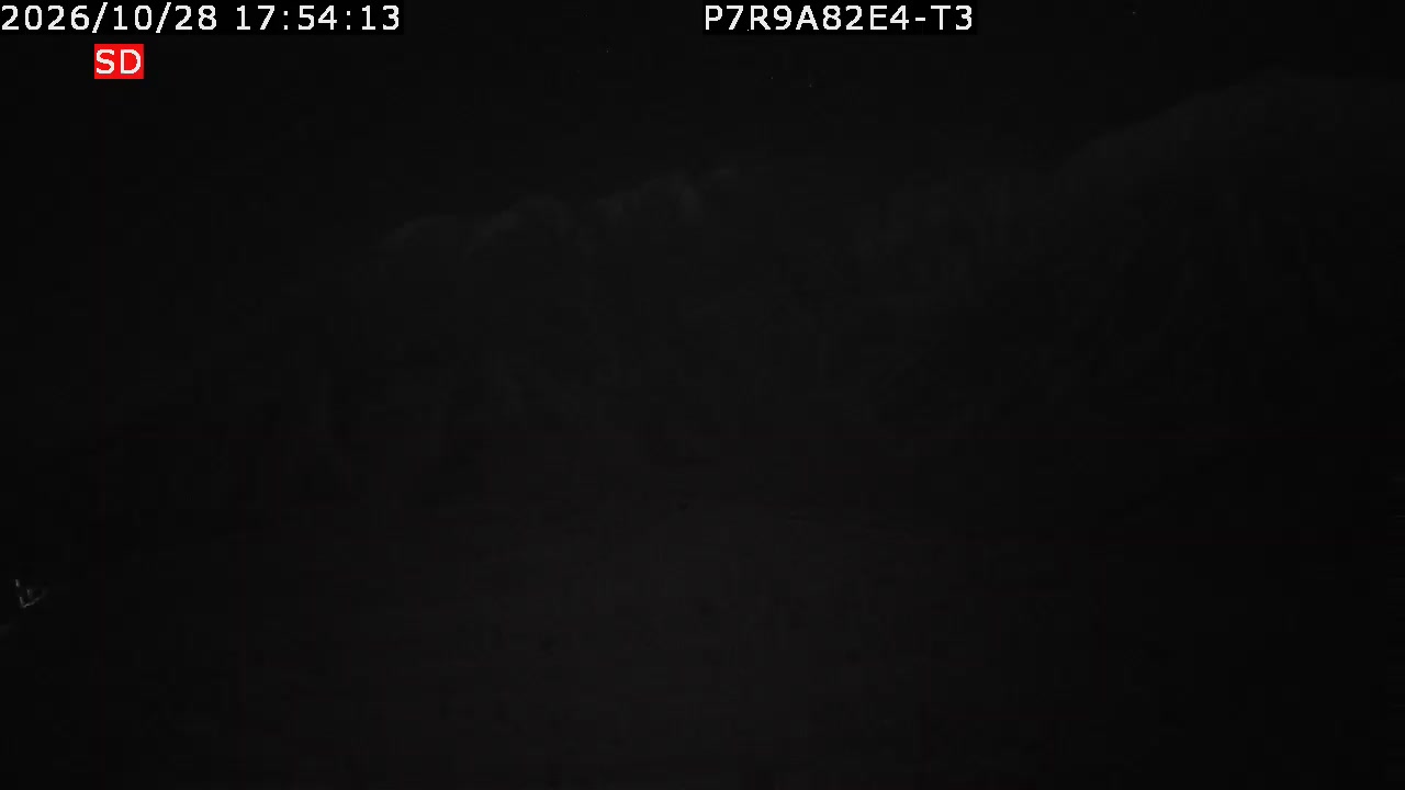 color-lilin_202610281754.mp4