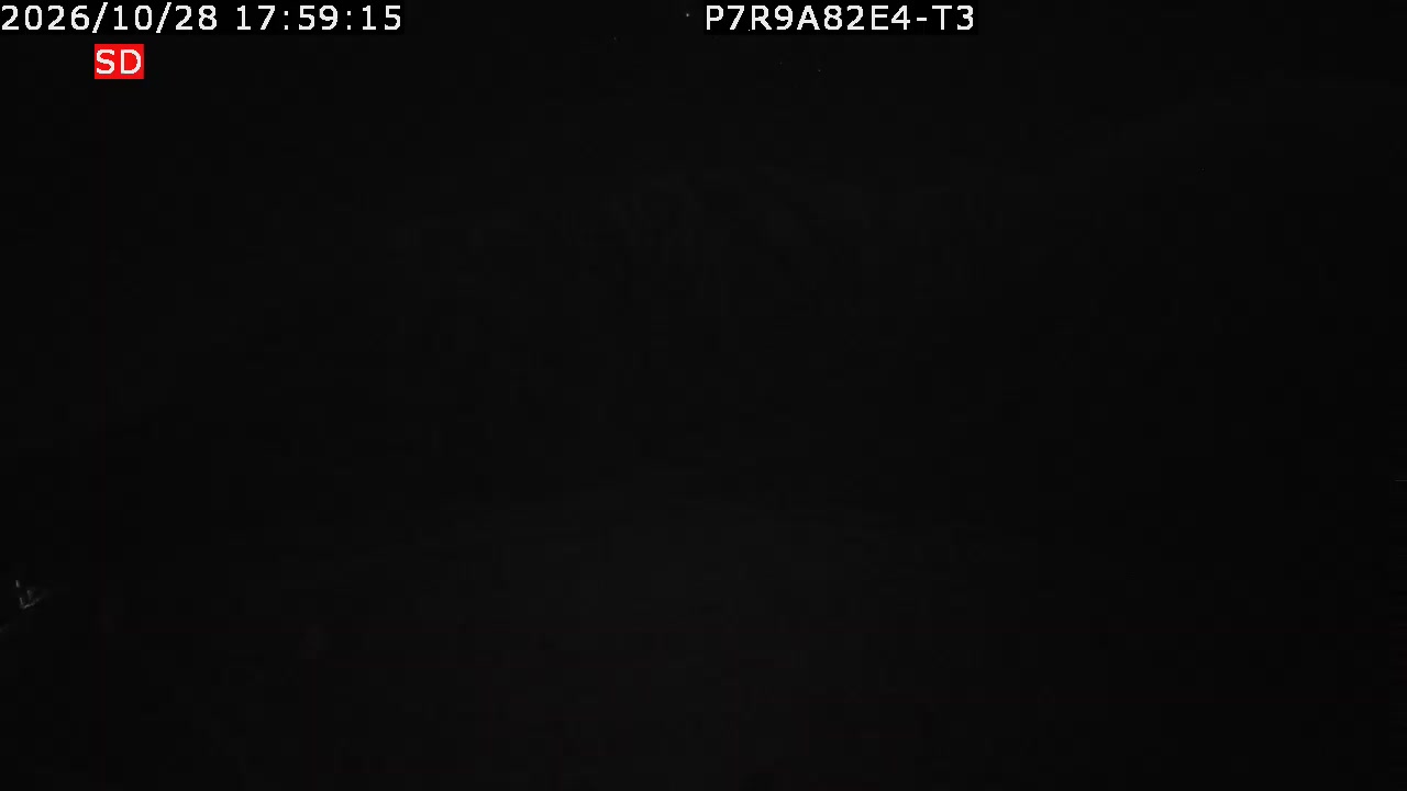 color-lilin_202610281759.mp4