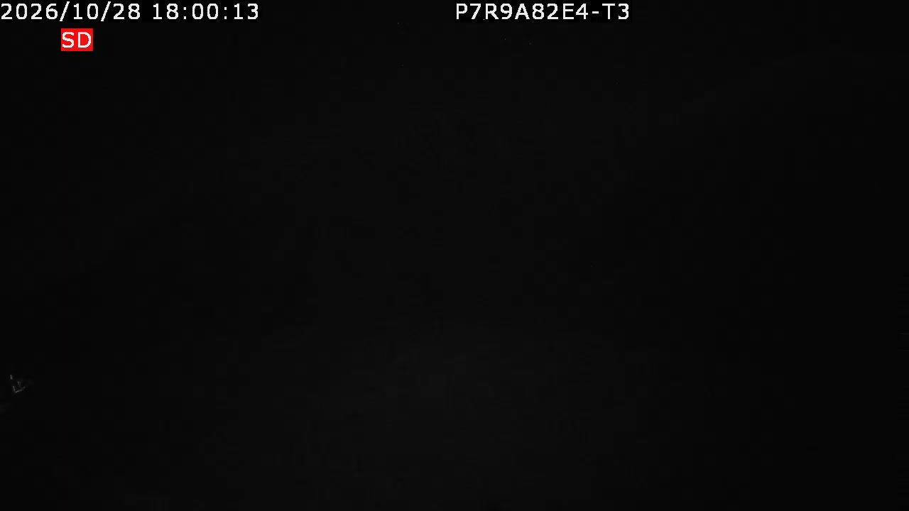 color-lilin_202610281800.mp4
