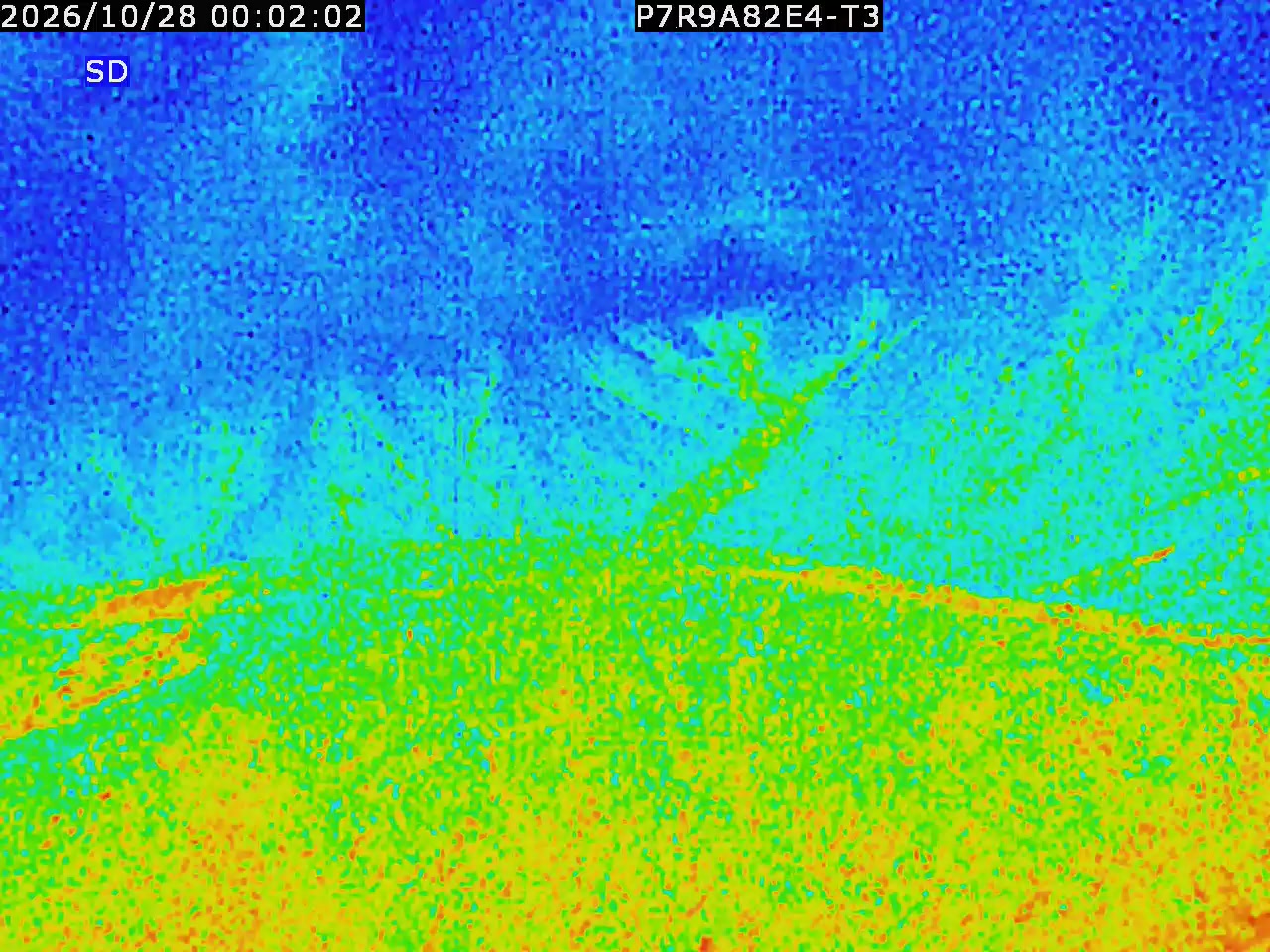 thermal-lilin_202610280002.mp4