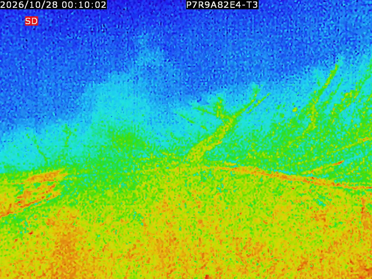 thermal-lilin_202610280010.mp4
