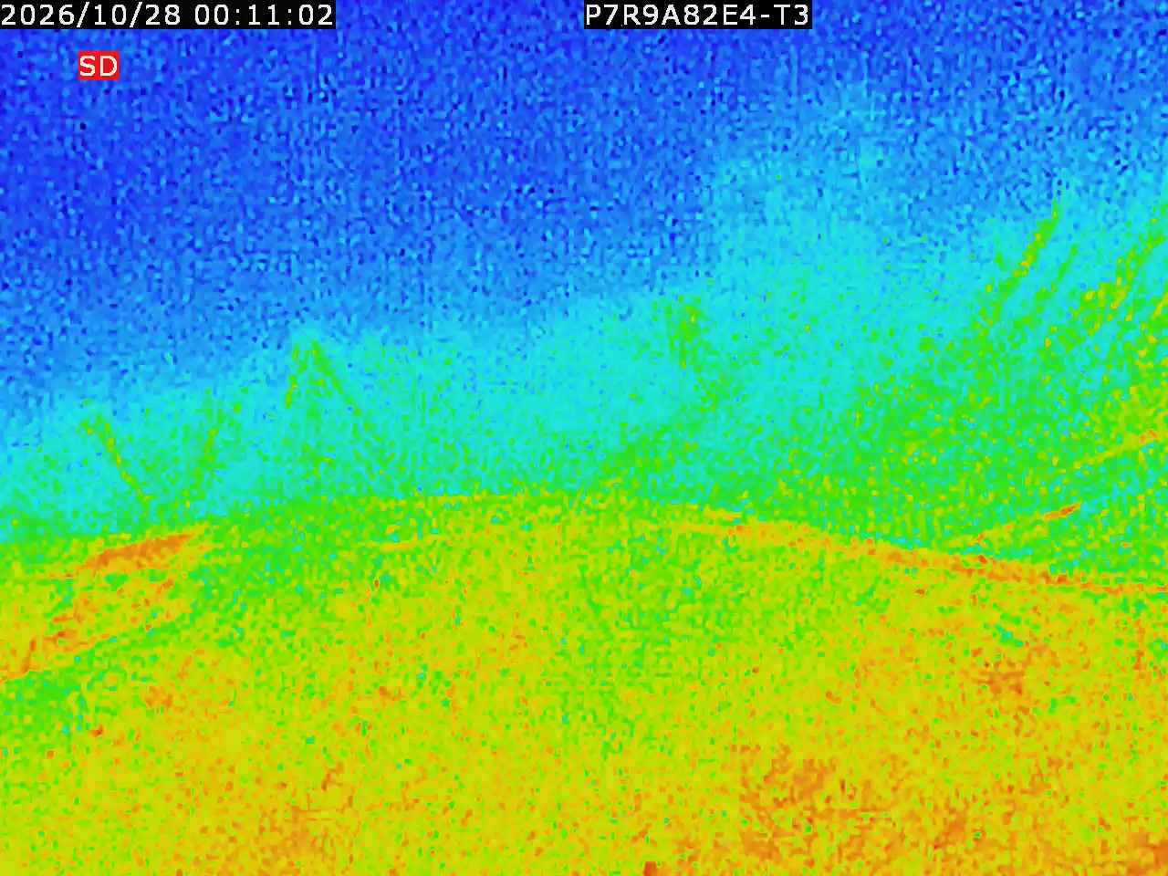 thermal-lilin_202610280011.mp4