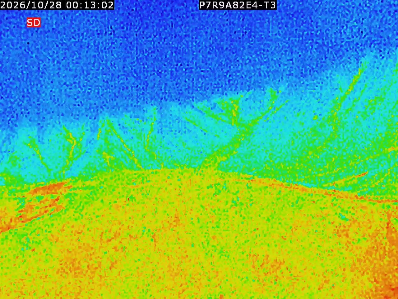 thermal-lilin_202610280013.mp4