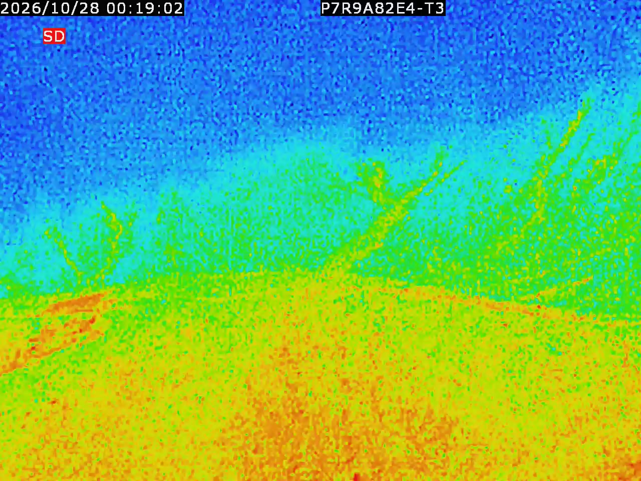 thermal-lilin_202610280019.mp4
