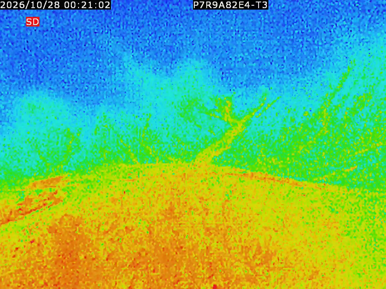thermal-lilin_202610280021.mp4