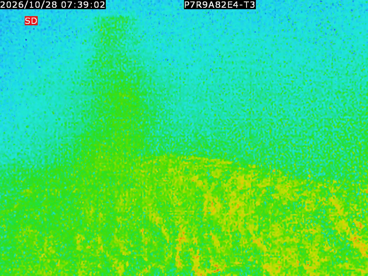 thermal-lilin_202610280739.mp4