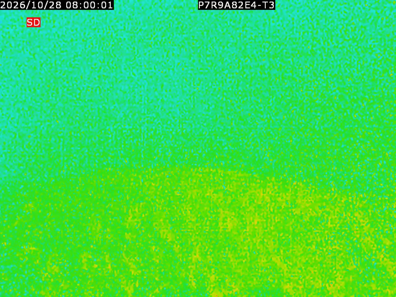 thermal-lilin_202610280800.mp4