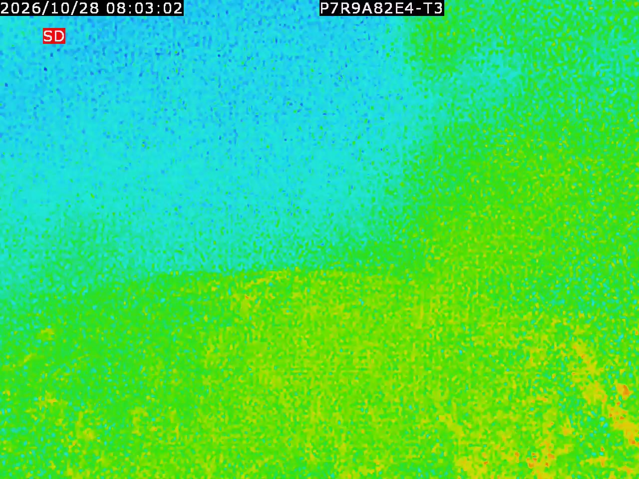 thermal-lilin_202610280803.mp4