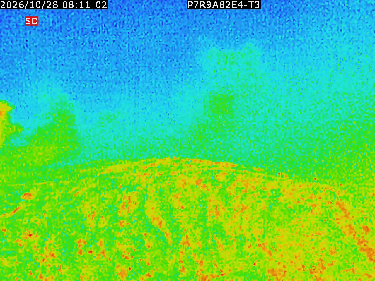 thermal-lilin_202610280811.mp4