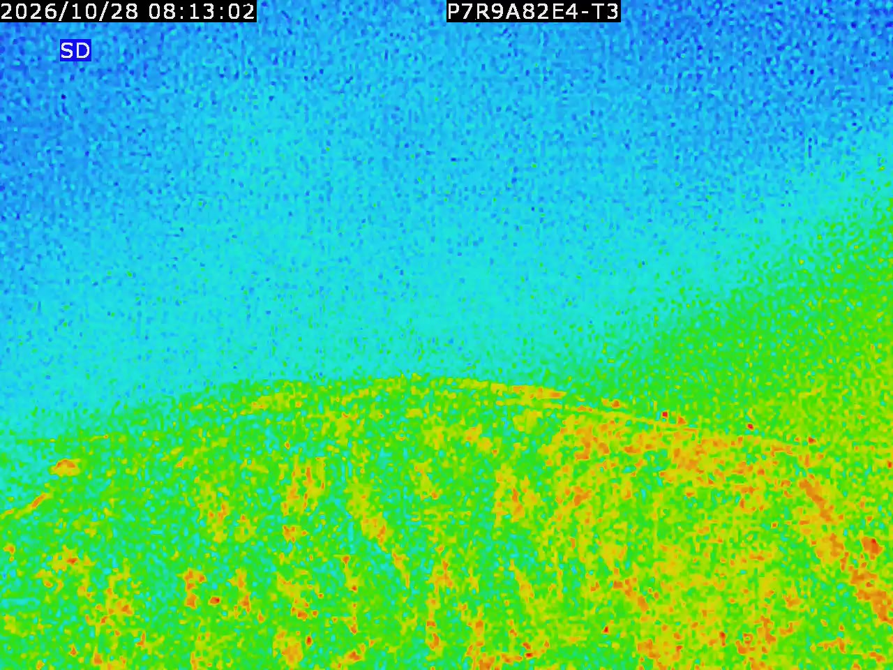 thermal-lilin_202610280813.mp4