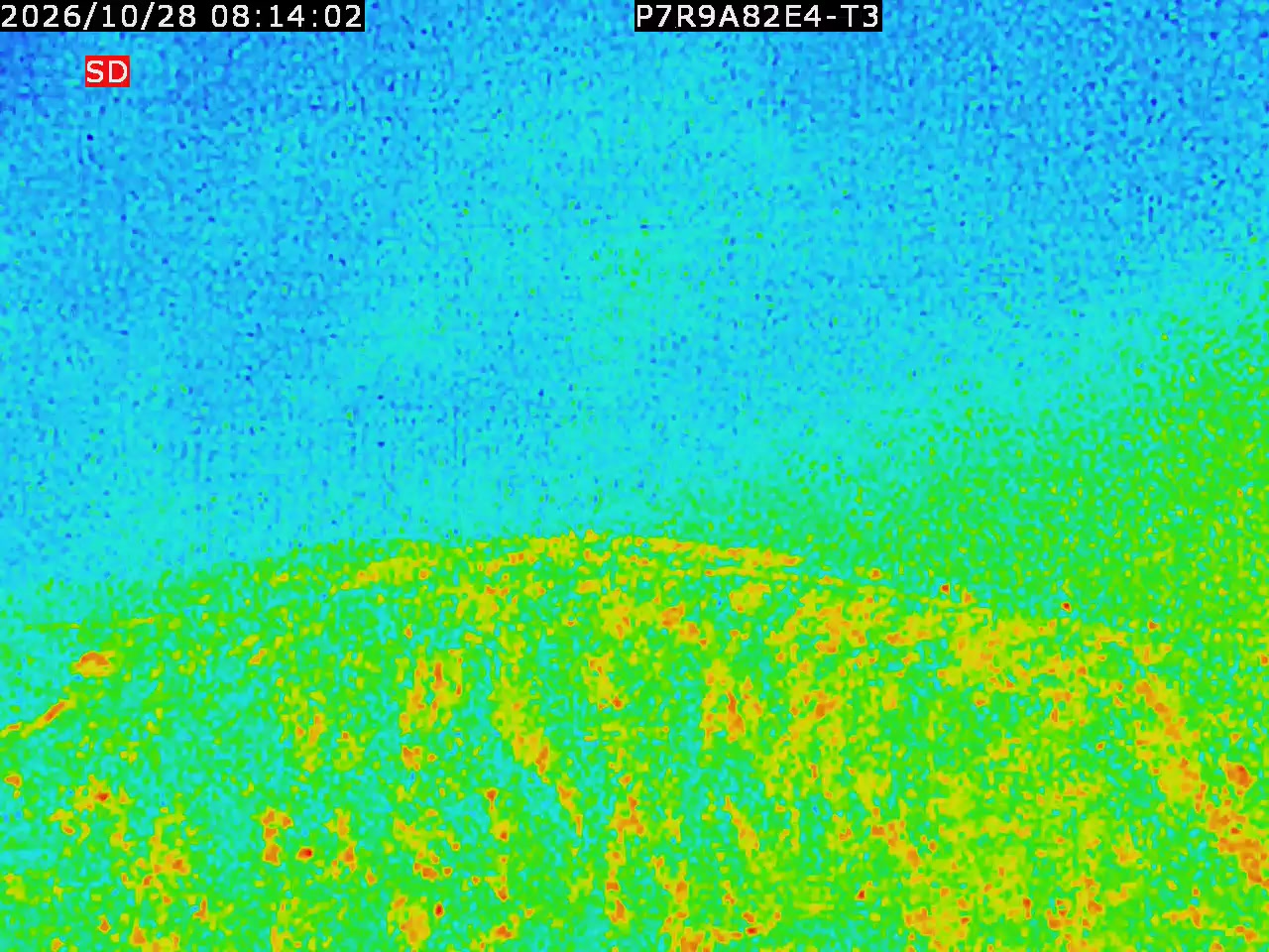 thermal-lilin_202610280814.mp4