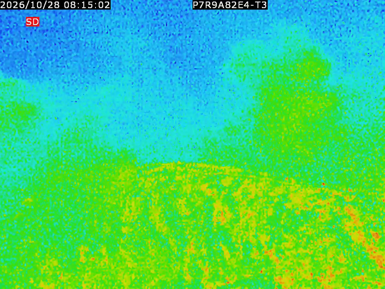 thermal-lilin_202610280815.mp4