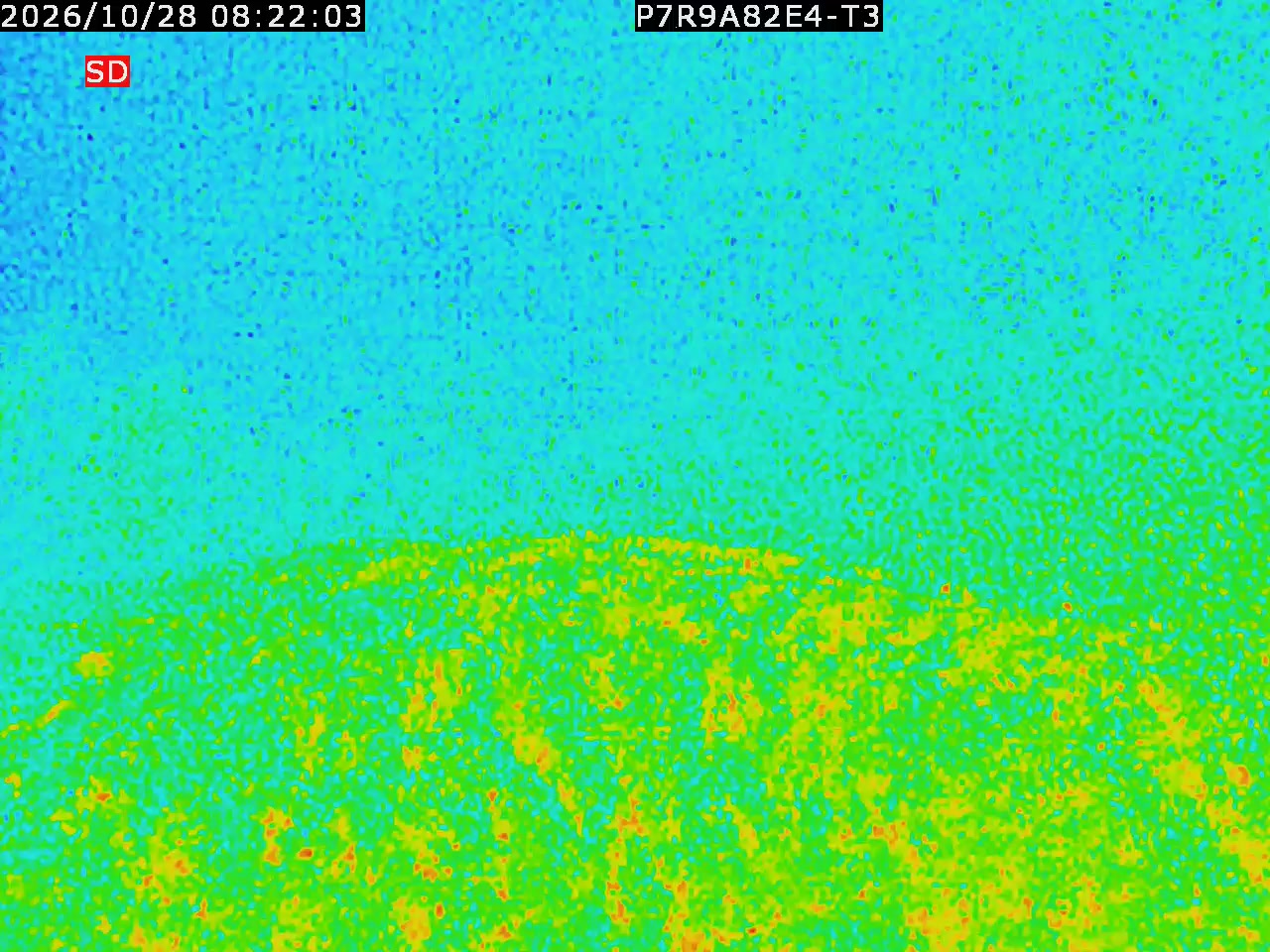 thermal-lilin_202610280822.mp4