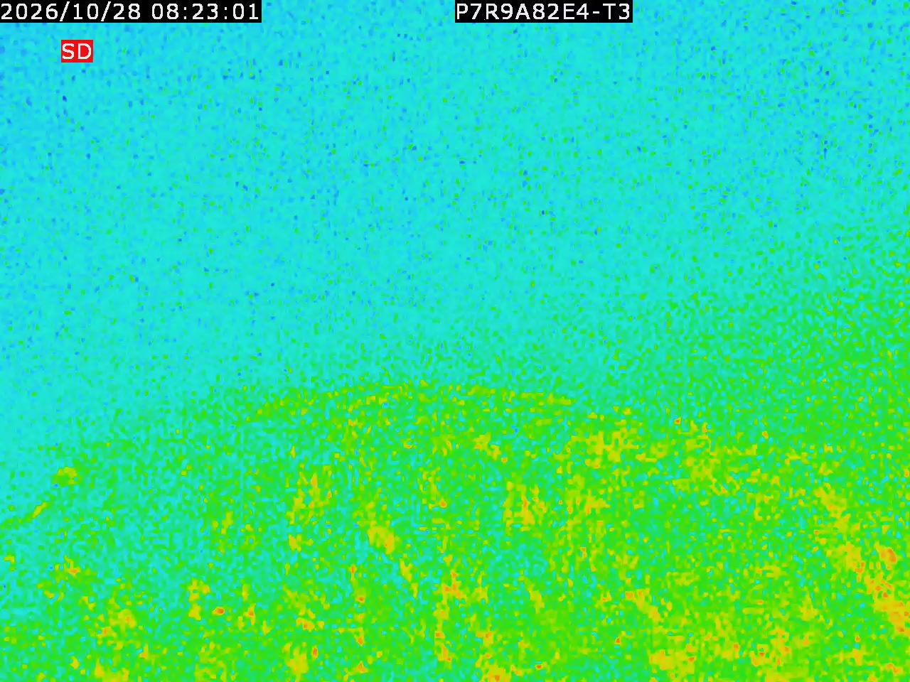 thermal-lilin_202610280823.mp4