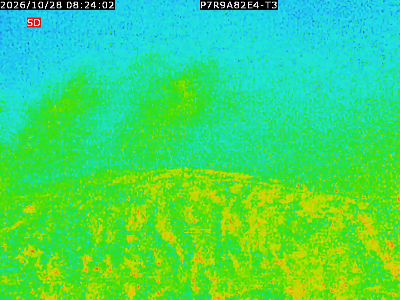 thermal-lilin_202610280824.mp4