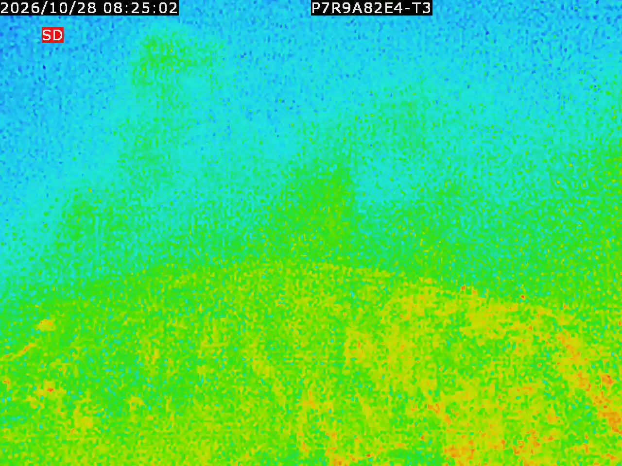 thermal-lilin_202610280825.mp4