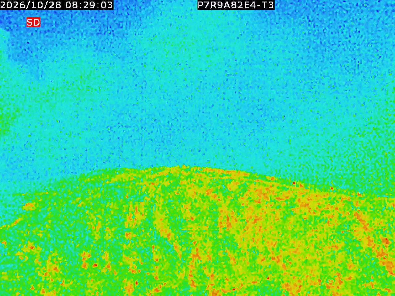 thermal-lilin_202610280829.mp4