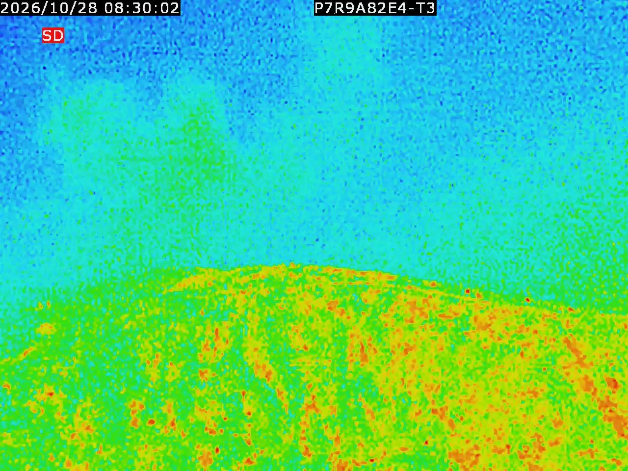 thermal-lilin_202610280830.mp4