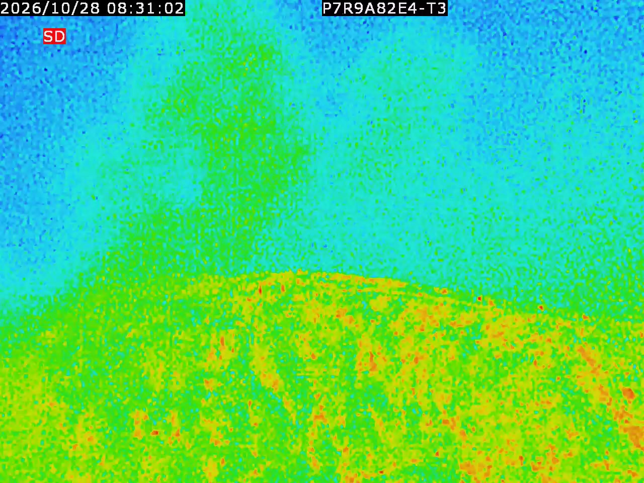 thermal-lilin_202610280831.mp4