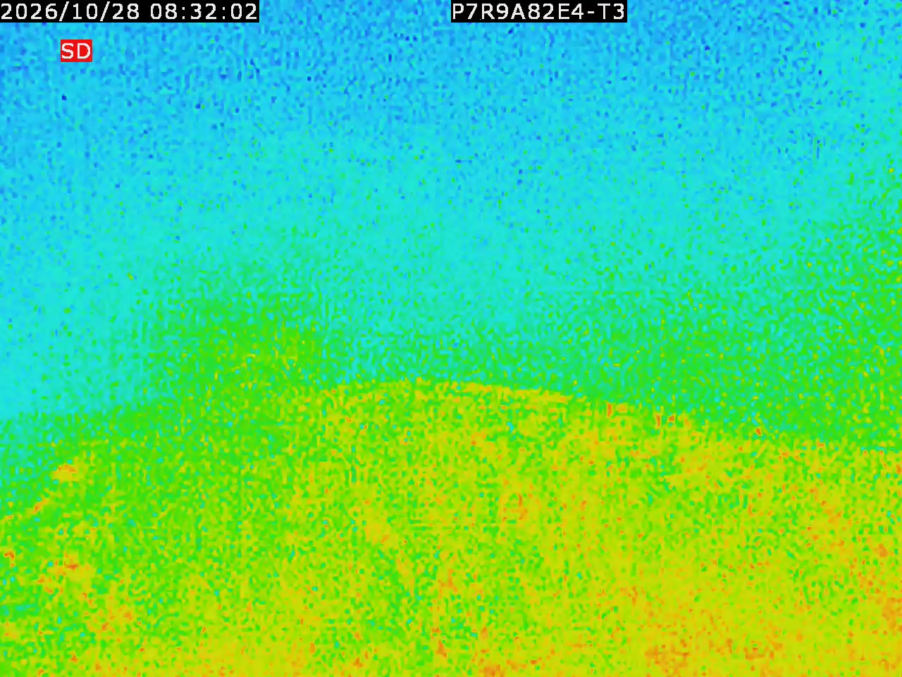 thermal-lilin_202610280832.mp4