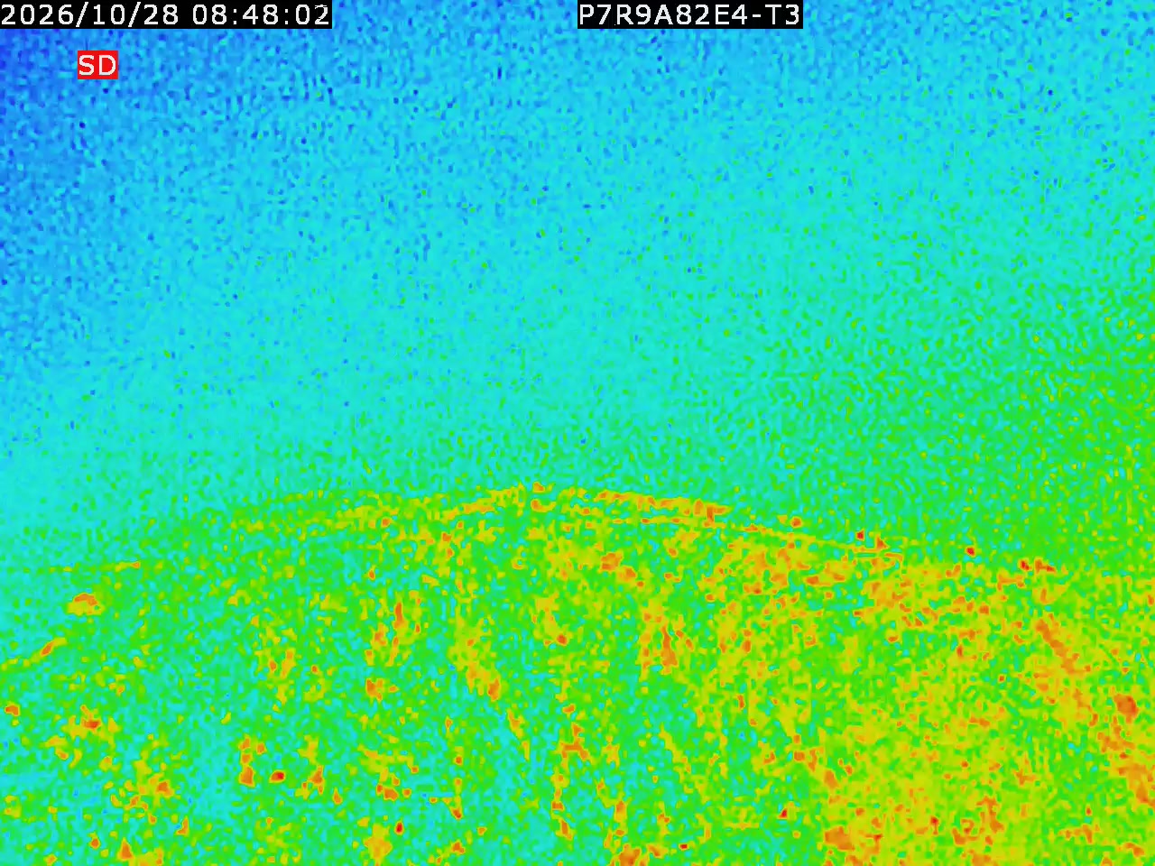 thermal-lilin_202610280848.mp4