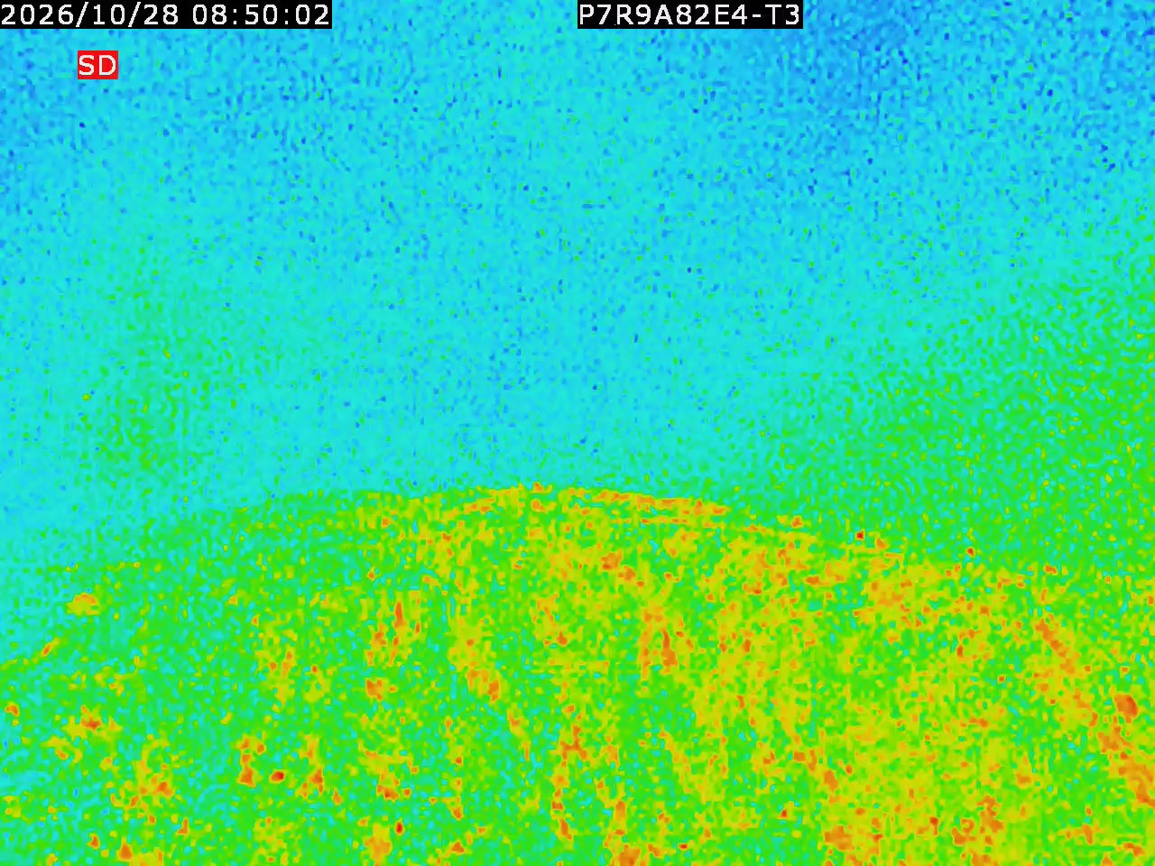 thermal-lilin_202610280850.mp4