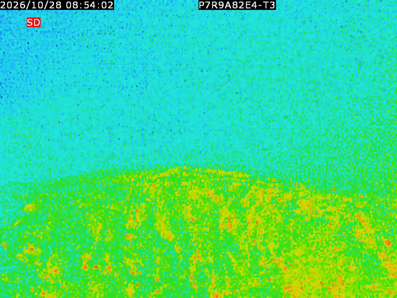thermal-lilin_202610280854.mp4