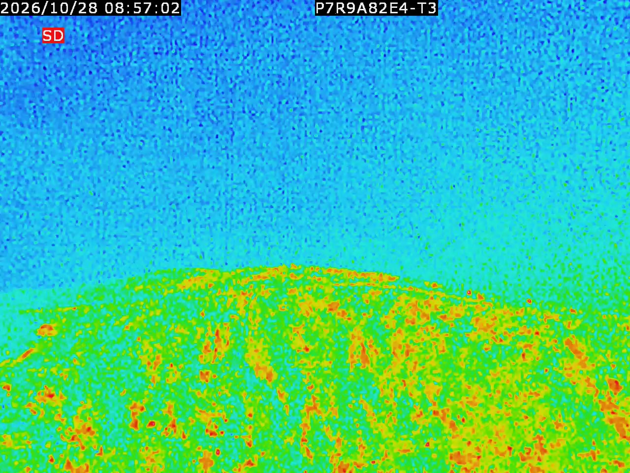 thermal-lilin_202610280857.mp4