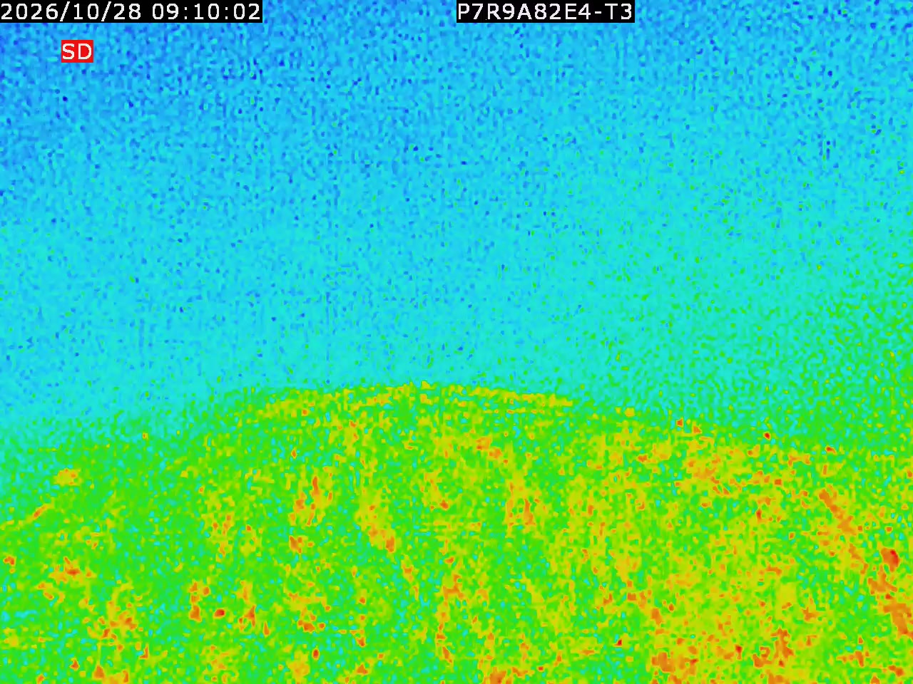thermal-lilin_202610280910.mp4