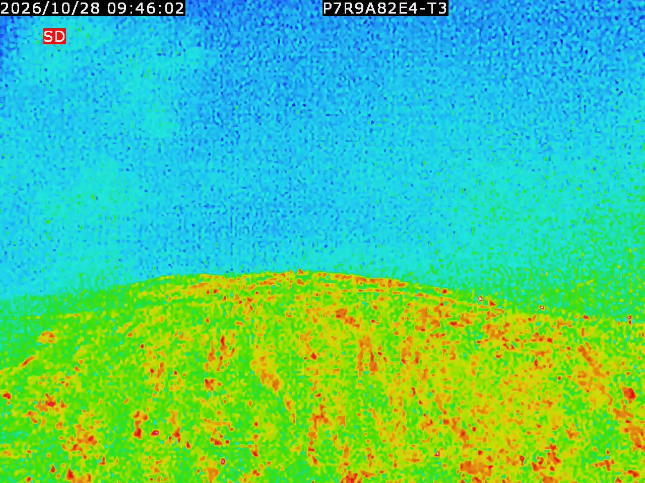 thermal-lilin_202610280946.mp4