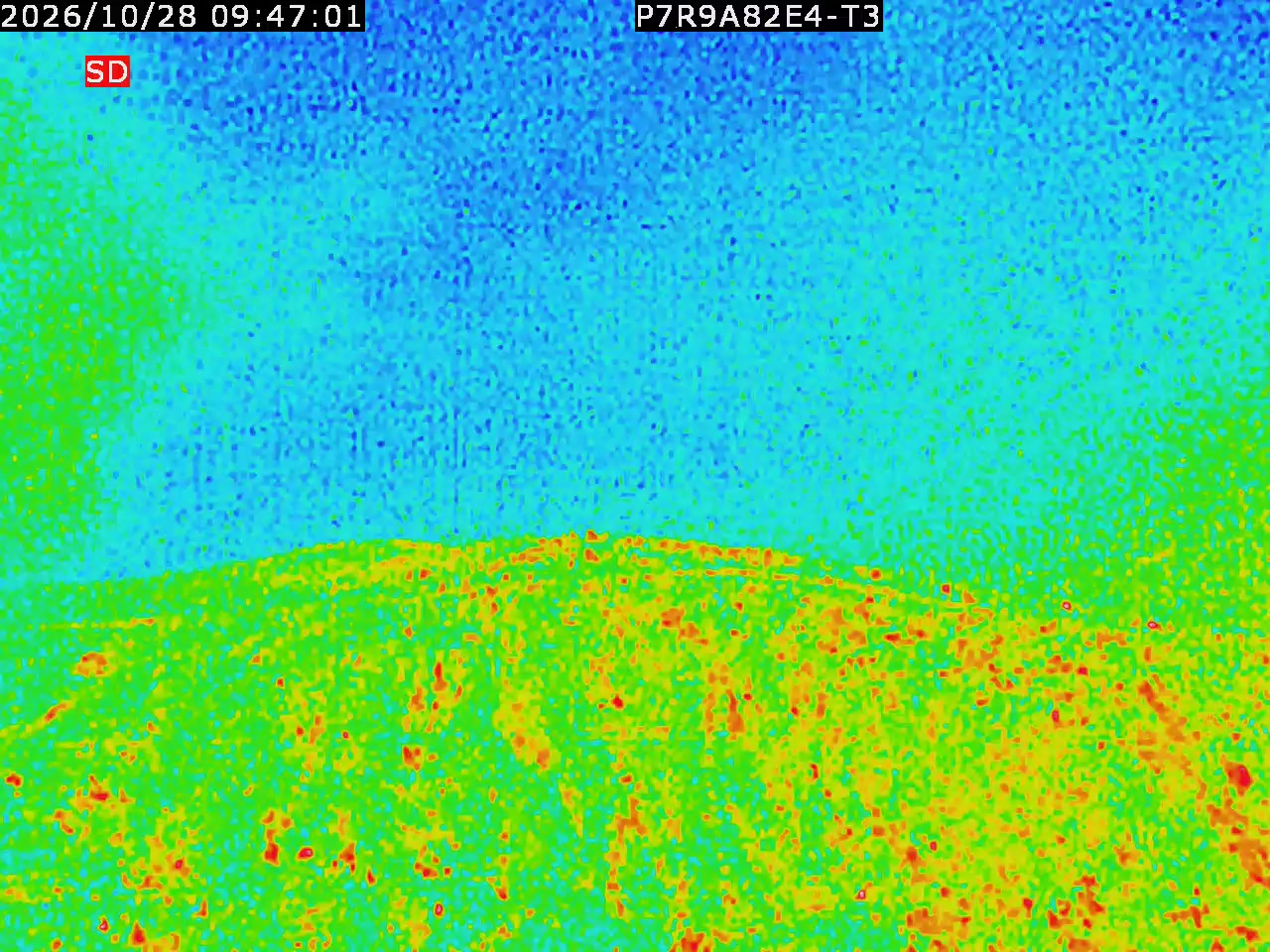 thermal-lilin_202610280947.mp4