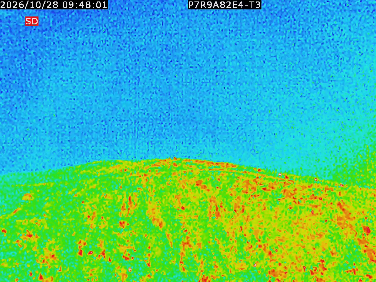 thermal-lilin_202610280948.mp4