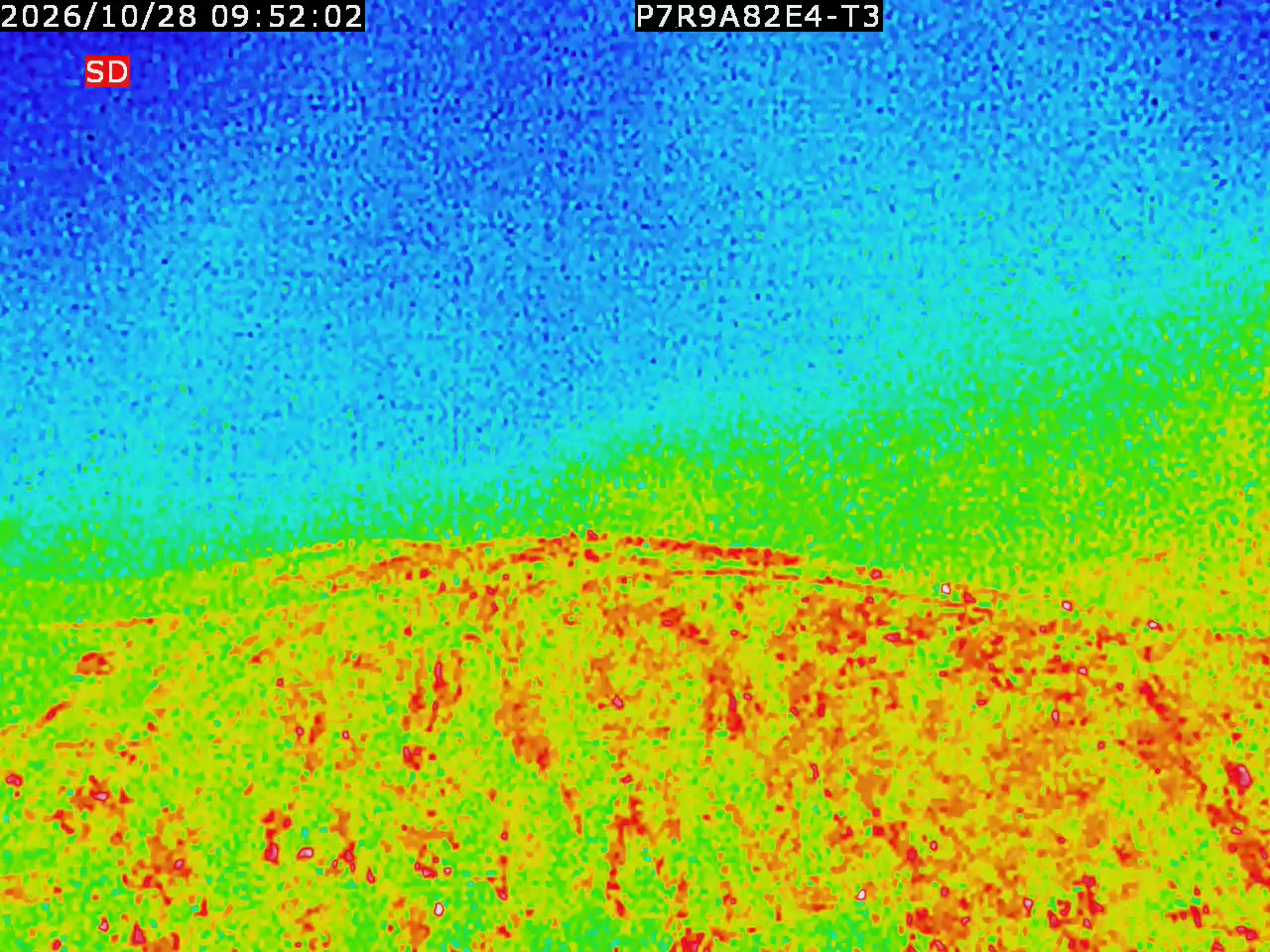 thermal-lilin_202610280952.mp4