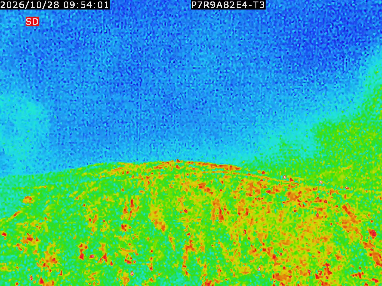 thermal-lilin_202610280954.mp4