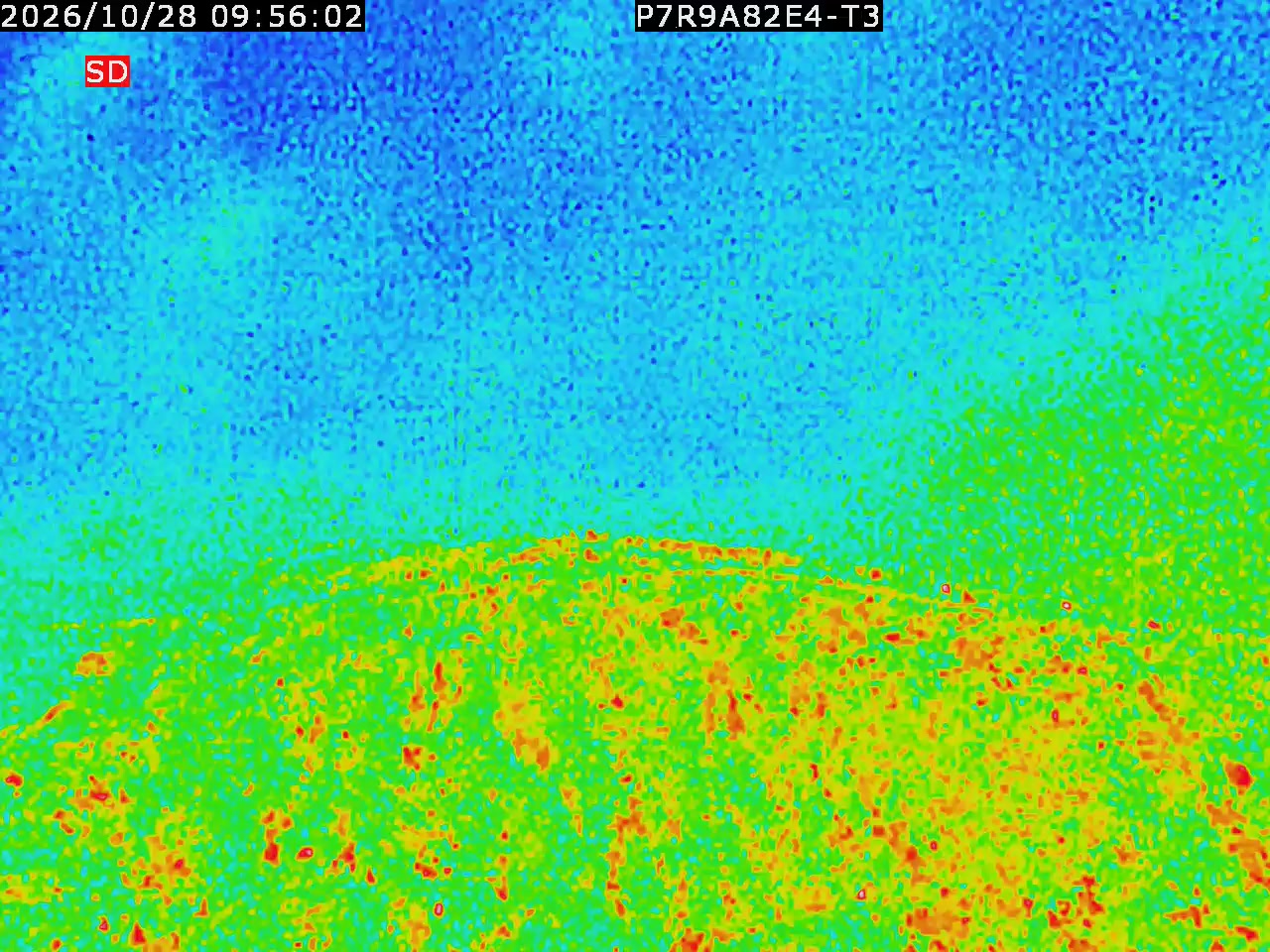 thermal-lilin_202610280956.mp4
